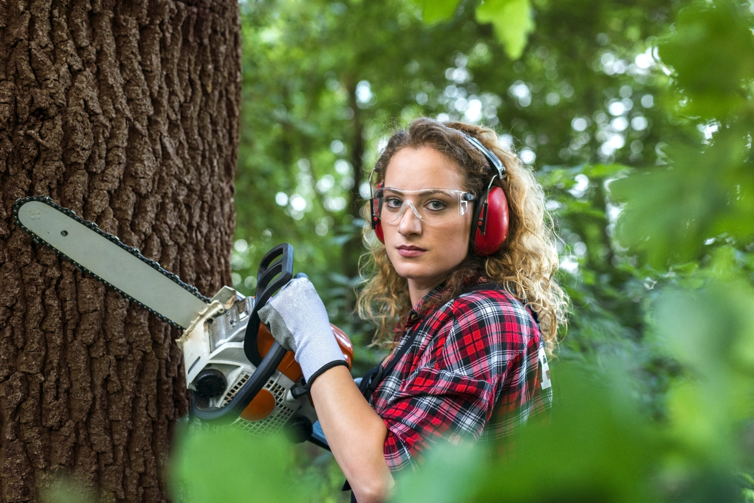 Professional-tree-services