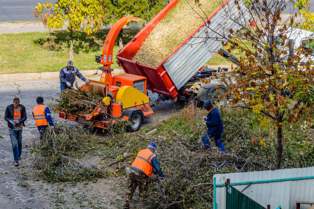 commercial tree removal new jersey