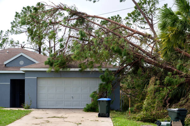 emergency tree services jersey city